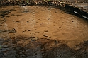 Rostoczek 11.2008 110